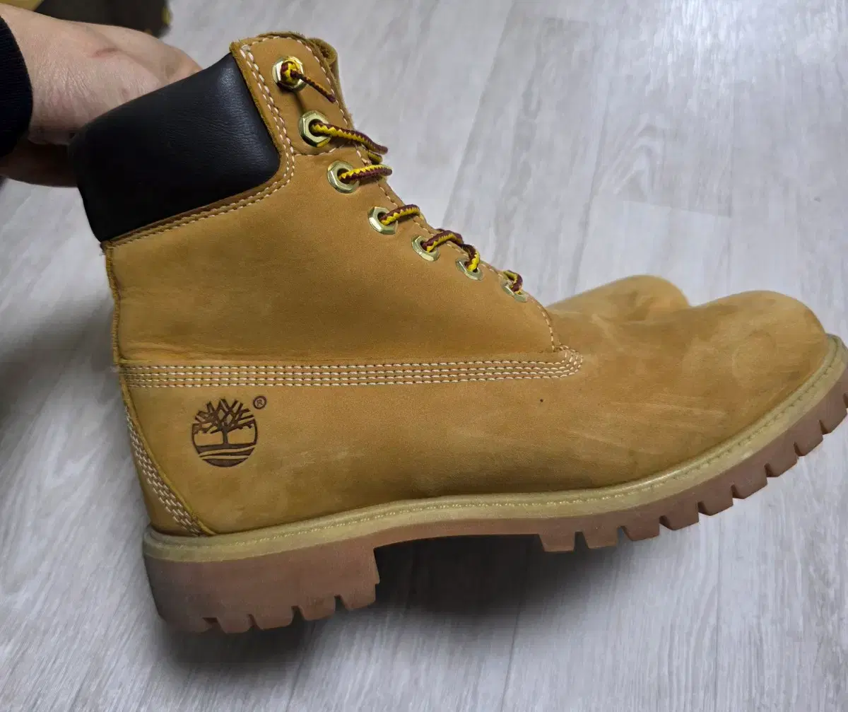 thumbnail-6